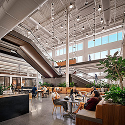 Employees socializing in Insight Headquarters cafe