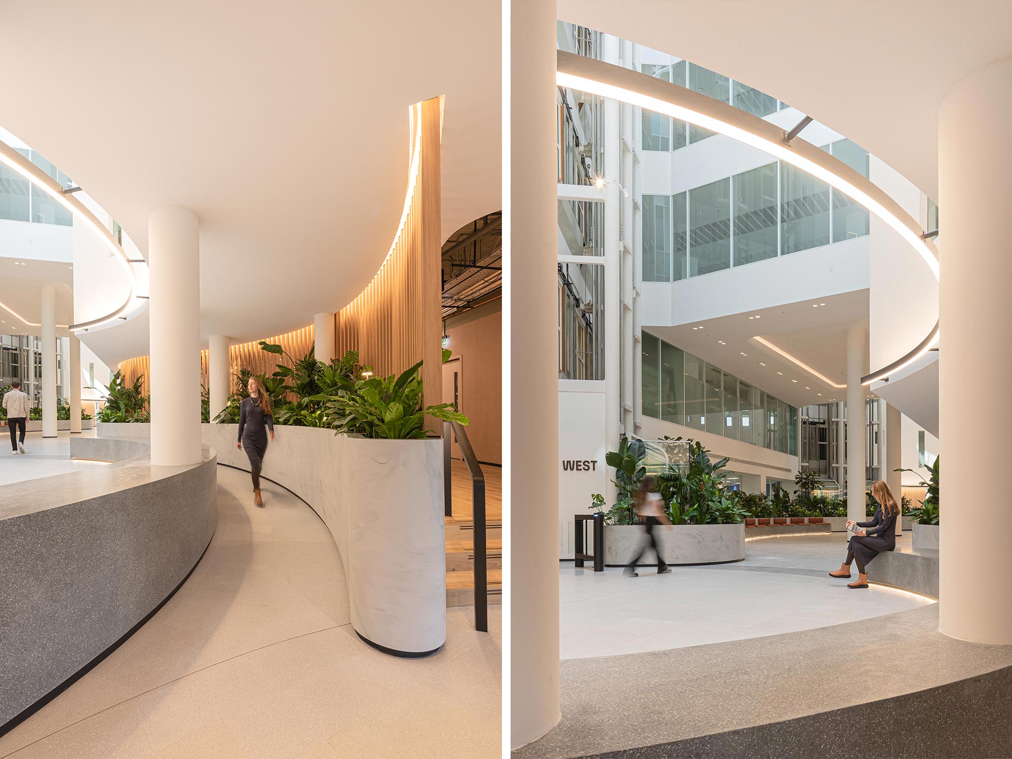 Why Biophilic Design Is Crucial in the Workplace and Beyond