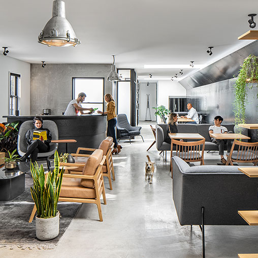 Introducing the Club Workplace