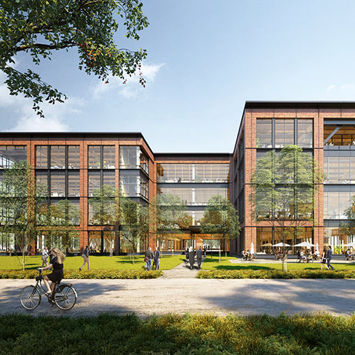 Mass Timber: The Sustainable Solution for the Design Industry