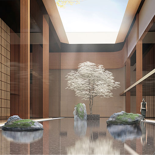 Feng Shui Meets Sustainability: 5 Ideas for a Greener Future