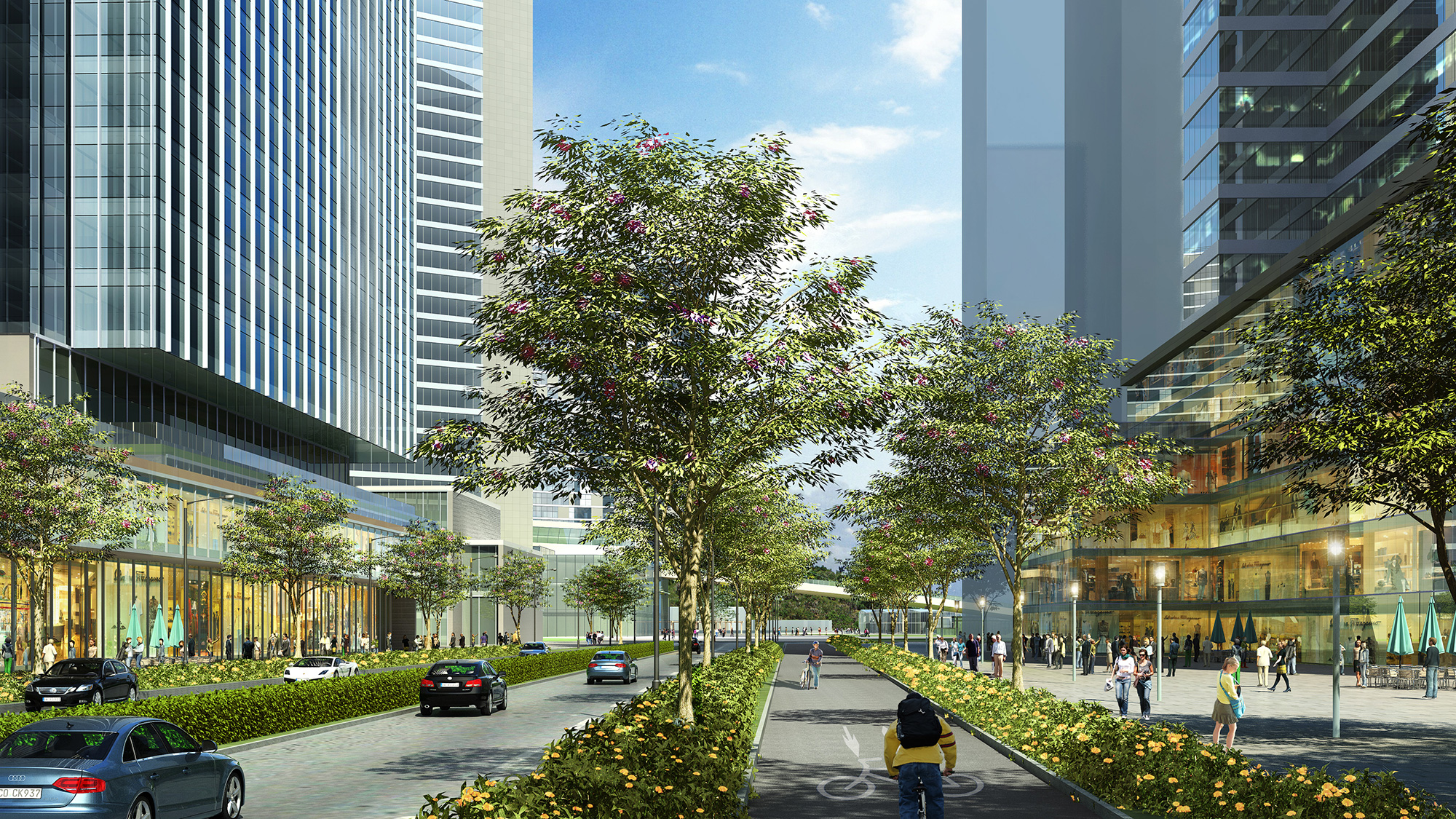 A street with cars and trees with buildings in the background.