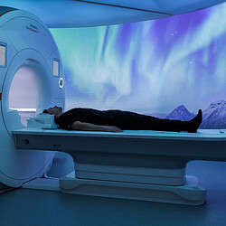 A person lying in a bed.