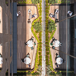 A group of people on a sidewalk.