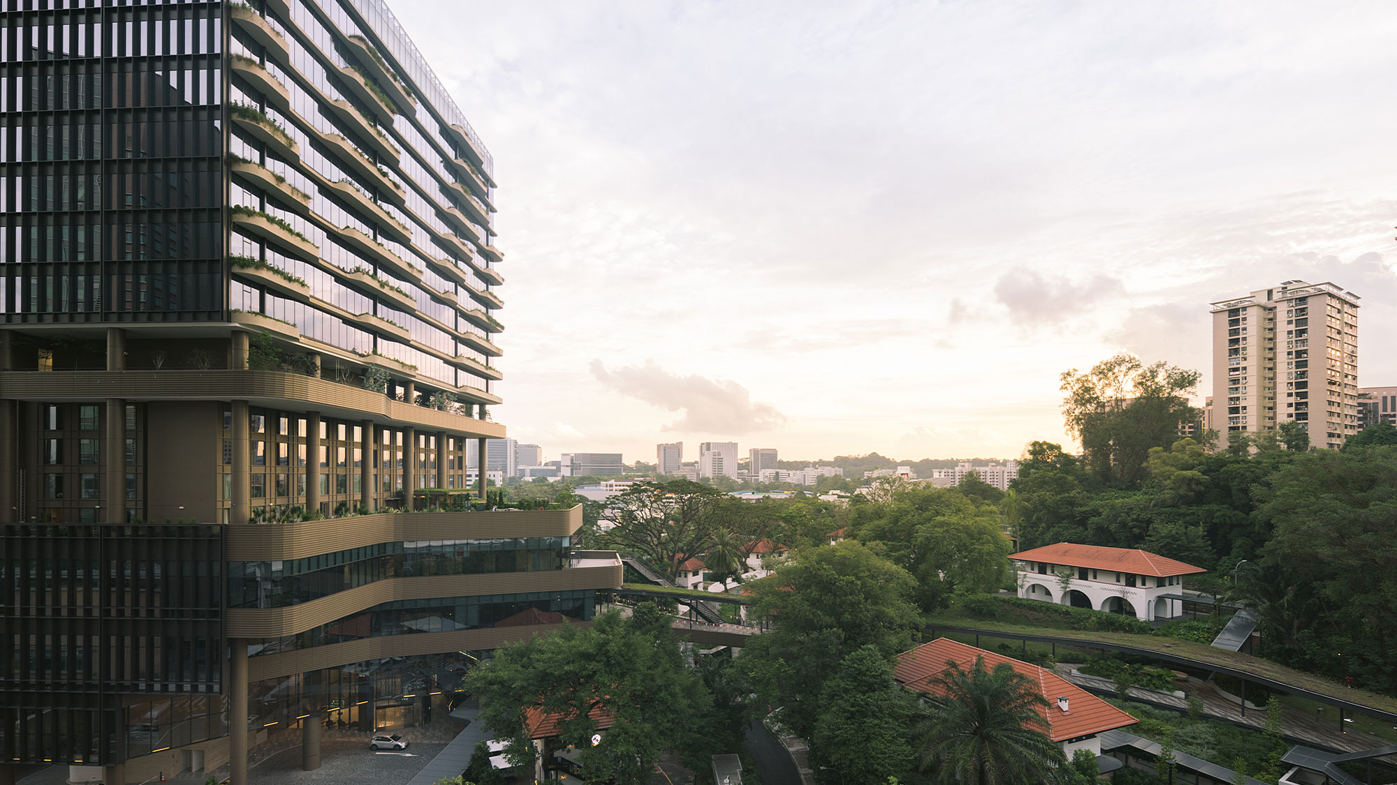 A city with trees and buildings.