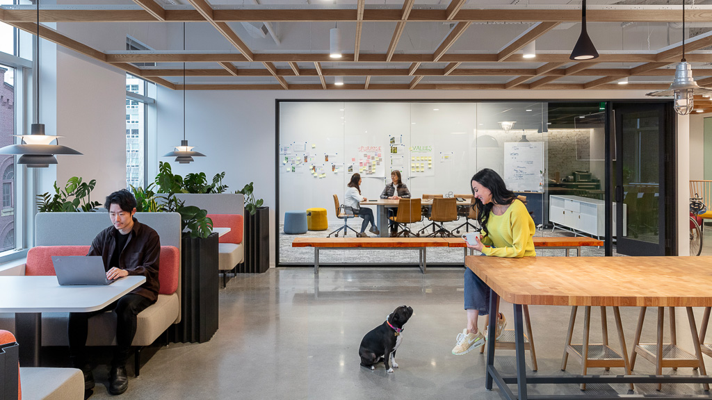 Technology workplace open collaboration space and meeting room