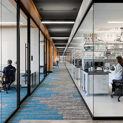 Biolabs New Haven hallway and laboratory