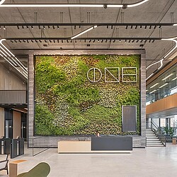 ONE Station Hill lobby with biophilic wall