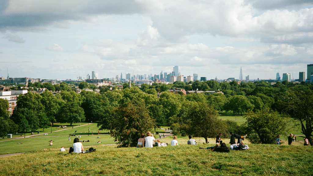 A park with trees and a city in the background.