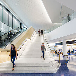 People walking down a flight of stairs.