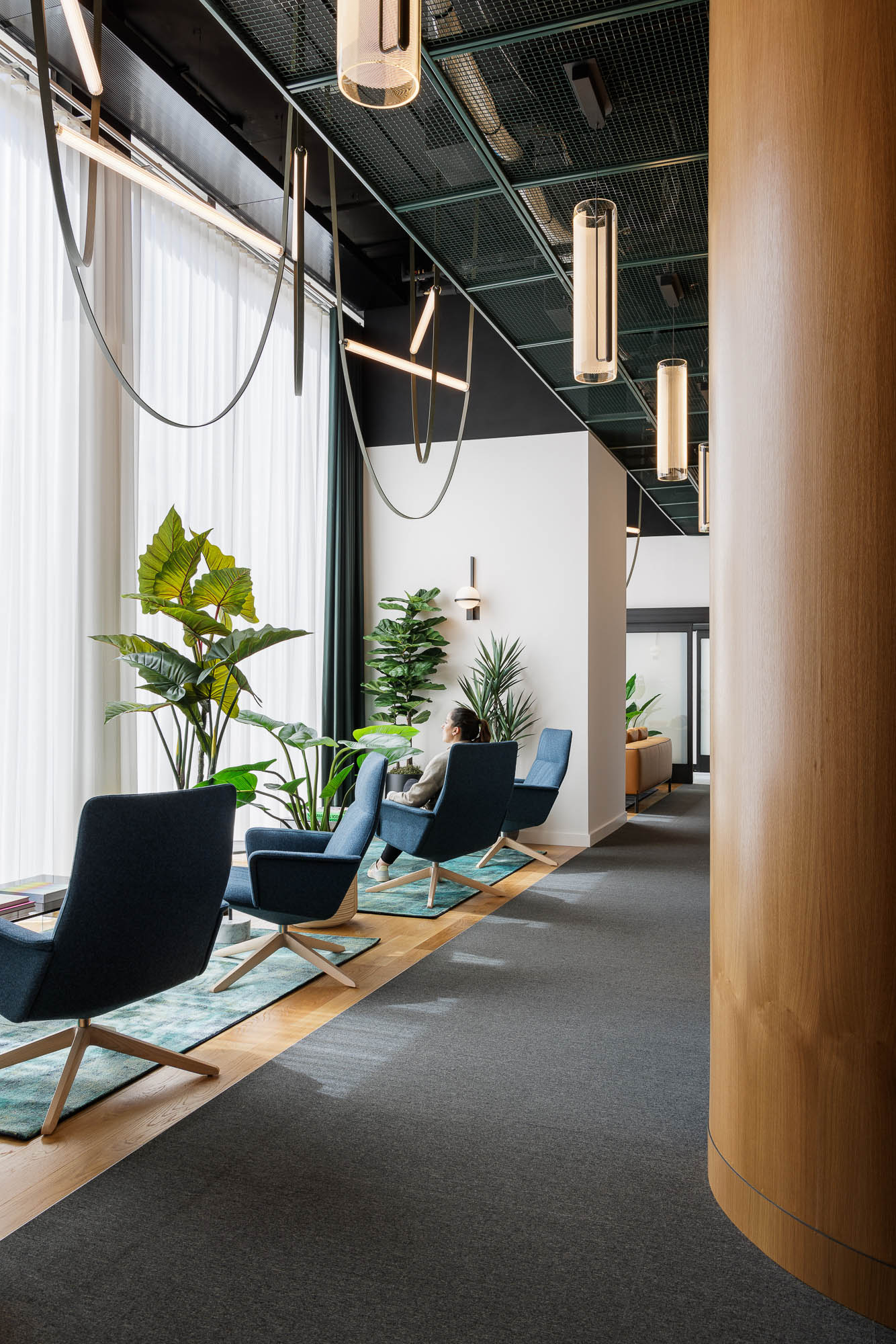 A room with chairs and plants.