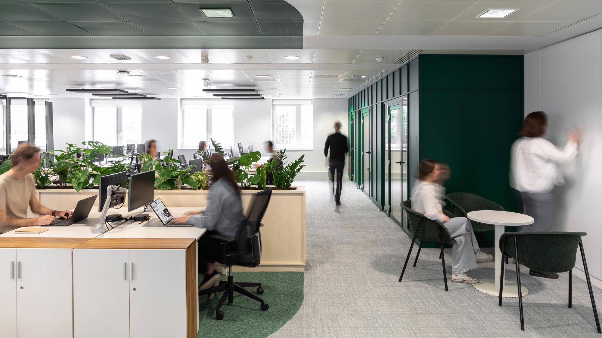 Korn Ferry workplace with biophilia