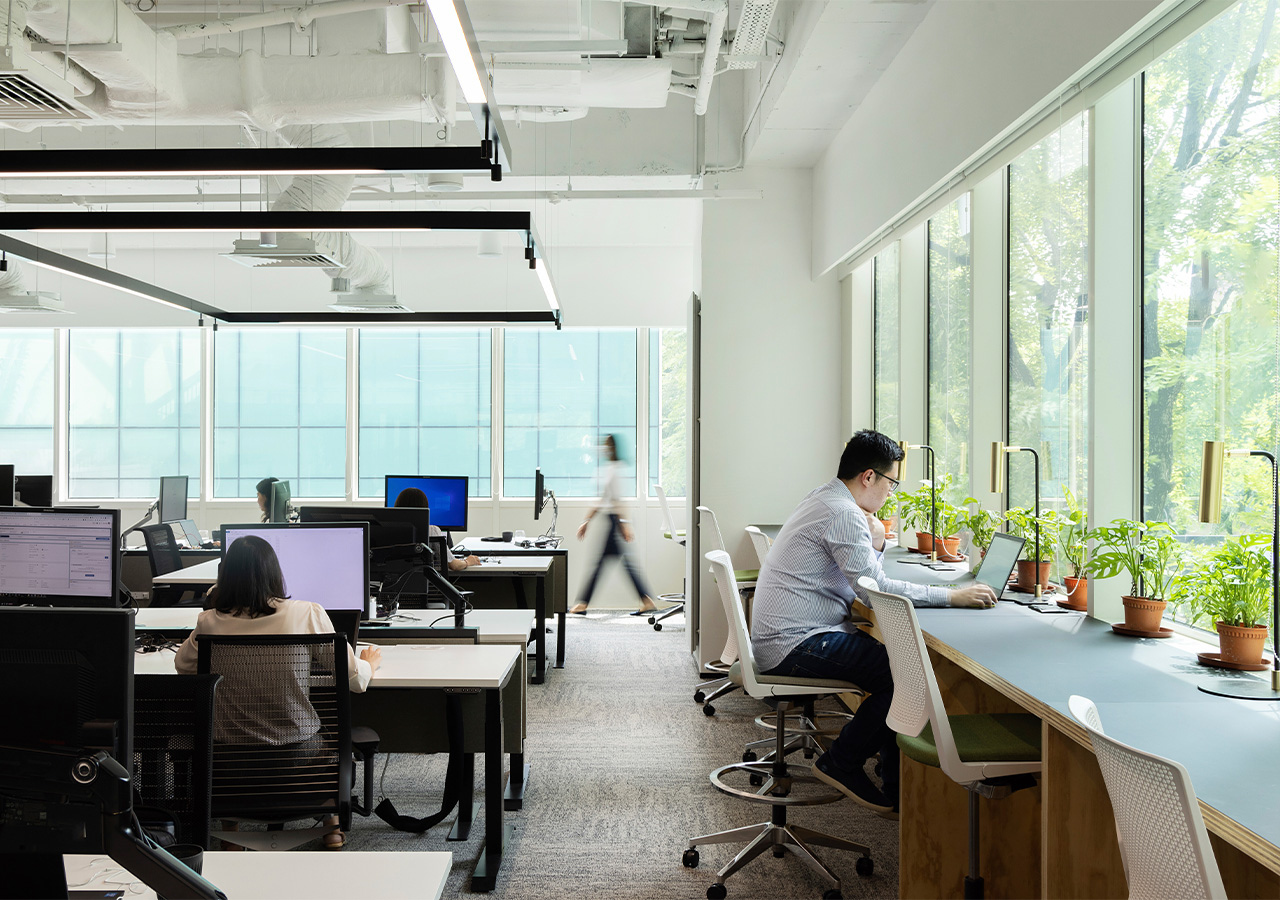 People working in an office.